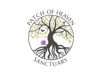 New_Project__33_-removebg-preview